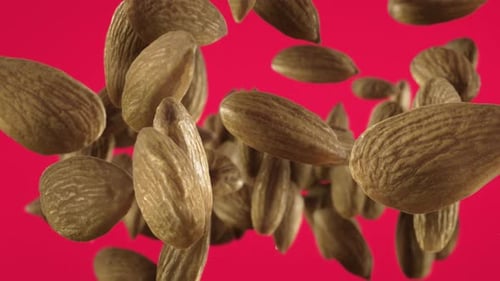 Dynamic Almonds Falling and Rising Animation