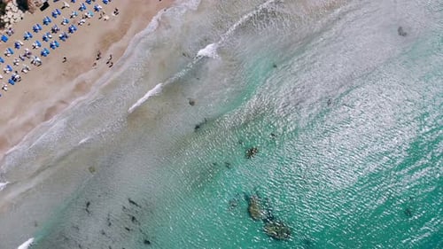 Top View of Sandy Beach on Shores of Crystal Clear Sea with Sun Loungers and Guests