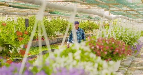 Confident Male Gardener Examining Potted Flower Plant