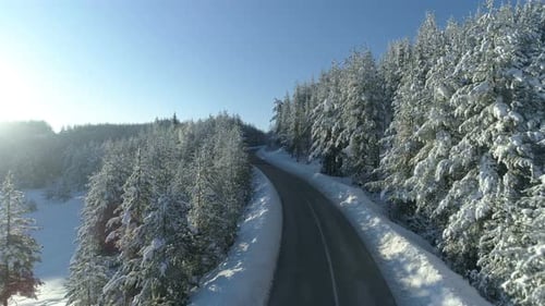 Flight Over the Road Through the Snowy Forest at Sunrise