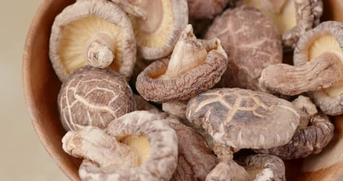 Dry mushroom