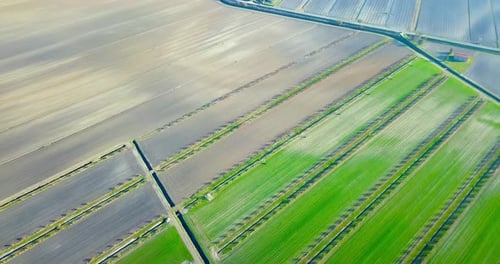 Agricultural Terrain with Vegetable Garden Beds and Fields