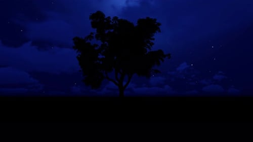 Noche de cielo abierto 4K