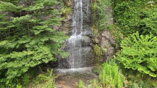 water nature