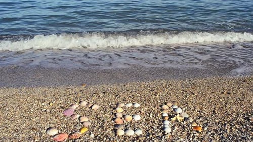 Shells 6