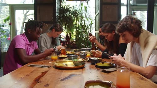 People Sit in a Cafe, They Sit with Phones in Hands, Girl Laugh