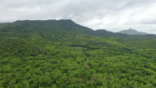 Aerial top view of trees in tropical forest in national park in Kanchanaburi, Thailand.