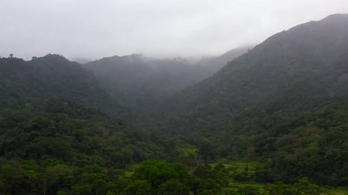 Aerial View of Foggy Green Mountain Landscape