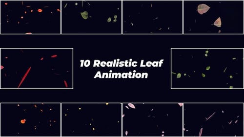 Realistic Falling Leaves | FCPX