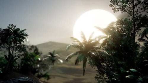 Lush Tropical Landscape with Palm Trees and Bright Sun