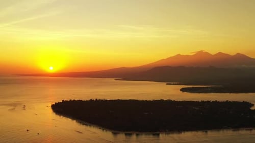 Aerial drone scenery of paradise coast beach wildlife by blue water and white sandy background of a