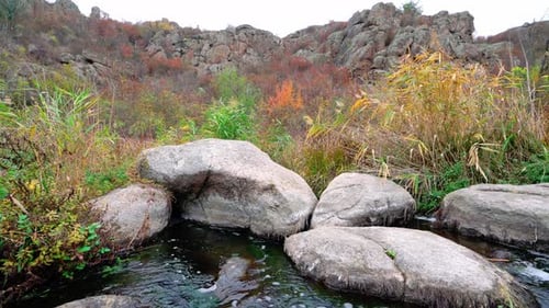 A Fast Clean Stream Runs Among Smooth Wet Stones Surrounded By Tall Dry Lumps