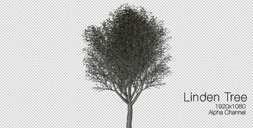 Animated Deciduous Tree with Green Leaves Swaying