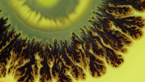 Crystal Germination