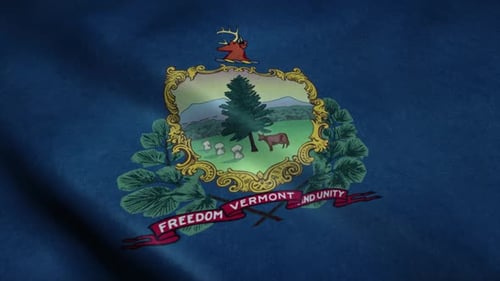 Waving Flag of Vermont State with Realistic Fabric Texture