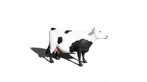 Animated 3D Dairy Cow Standing on White Background