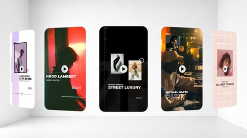 Modern Vertical Podcast Audio Visualizer Stories