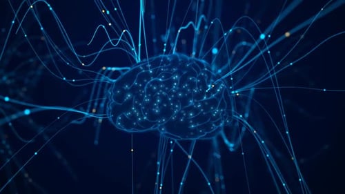 Particles Converge On The Brain 4K 01