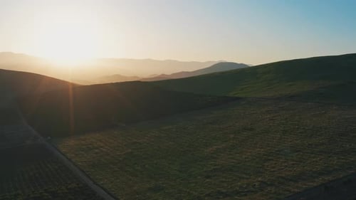 Aerial View of Green Field at Sunrise