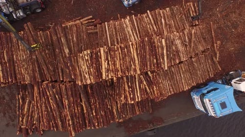 Forestry and logging operations taking place in the highlands of Scotland using large industrial mac