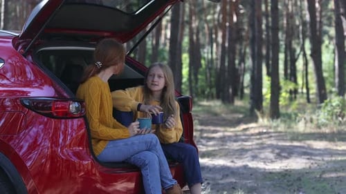 Forest Picnic In The Car Trunk 2