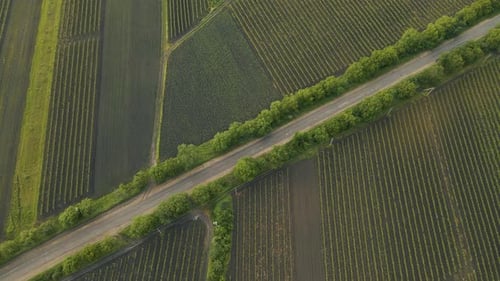 Footage Winding Country Road in the Field