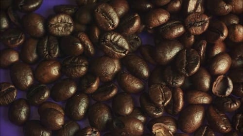 Close Up of Coffee Beans on Purple Surface