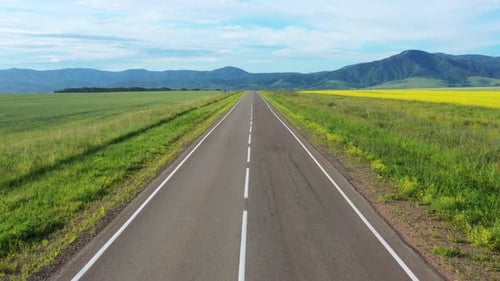 Op Vue de la route et du champ jaune en fleurs. Sur la route Going Cars. Tir Aero