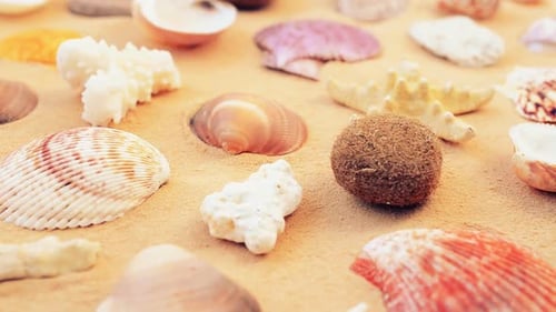 Beach 14