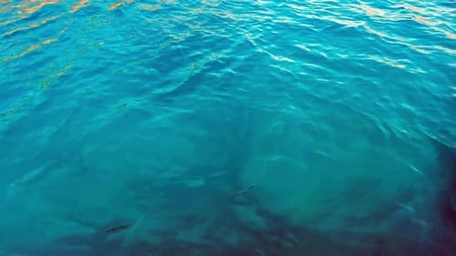Blue Sea (4K)