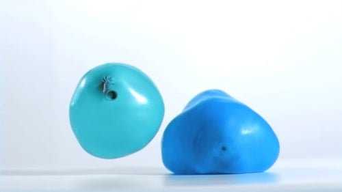 Blue Water Balloons Floating in White Studio