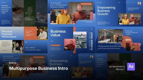 Introducción: introducción empresarial multipropósito