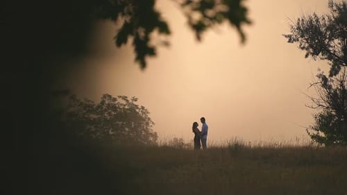 Couple Silhouette Embrace in Field at Sunset