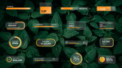 Animated Progress Counters | Glass UI Pack