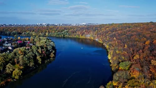 Early Autumn in Forest Aerial Top View