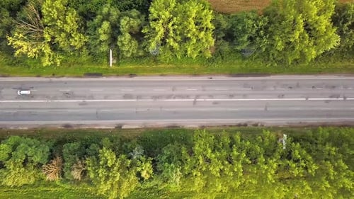 Aerial view of a road with moving cars between green trees.