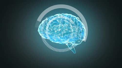 3D illustration of human brain