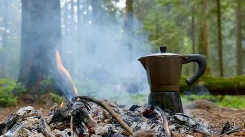 El café se prepara en una cafetera de géiser en una fogata en el bosque