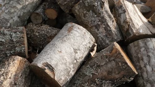Pile of firewood made of tree logs close-up slow tilt 4K 2160p 30fps UltraHD footage - Tilting on st