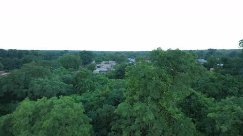 Afrique Mali, village, population et forêt, vue aérienne