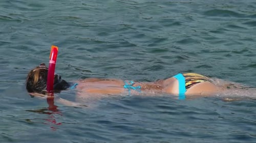 Snorkelling in the Clear Turquoise Water