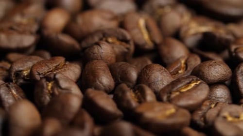 Close Up of Shiny Brown Coffee Beans