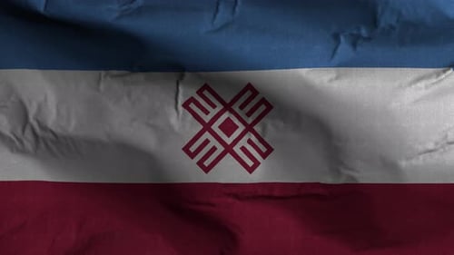 Textured Waving Flag with Abstract Geometric Symbol