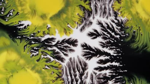Crystal Germination
