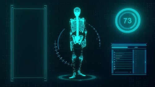 Digital Human Skeleton Display with Futuristic Medical Data UI