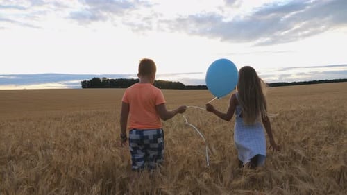 Small Girl and Boy Holding Balloon in Hands and Walking Through Wheat Field at Sunset. Couple of