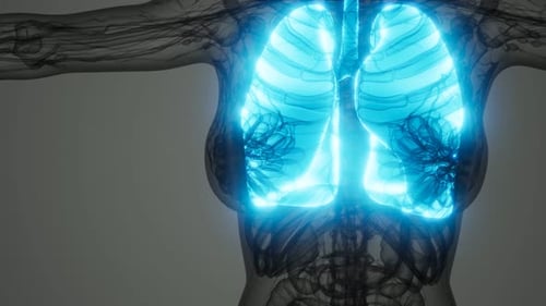 3D Human Lungs Breathing Animation for Medical Visualization