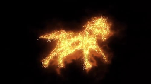 Energetic Fiery Horse Outline Logo Reveal Animation