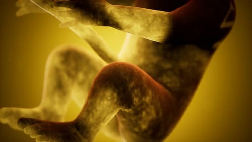 Animation médicale 3D d'un foetus humain