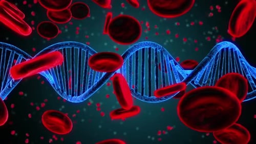 Futuristic DNA Helix and Red Blood Cells Science Animation